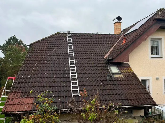 Zarostlá střecha před čištěním
