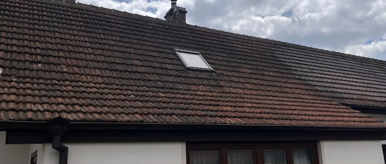 Zarostlá střecha rodinného domu před a po čištění — před čištěním